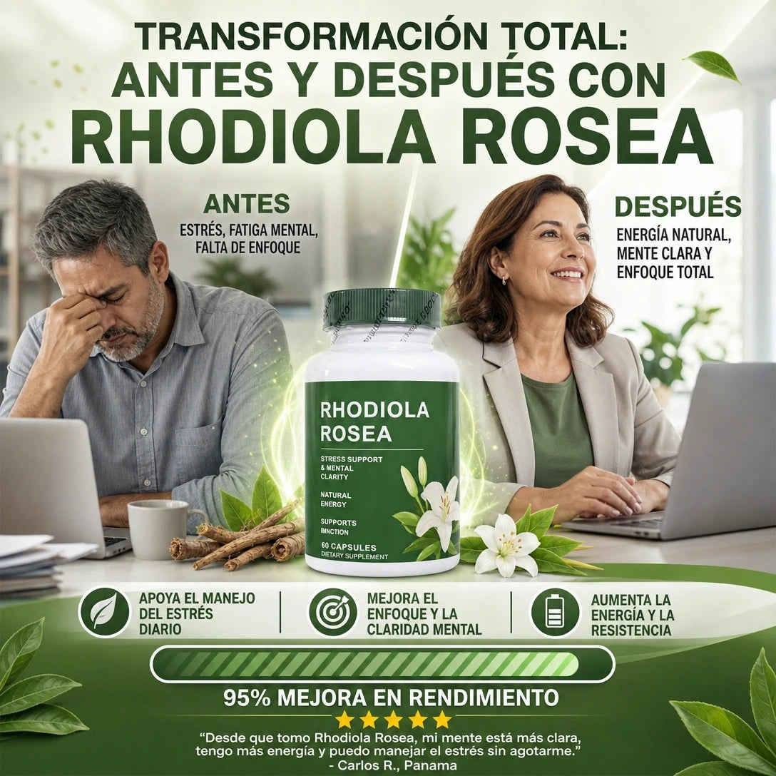 Rhodiola Rosea - Activa tu enfoque