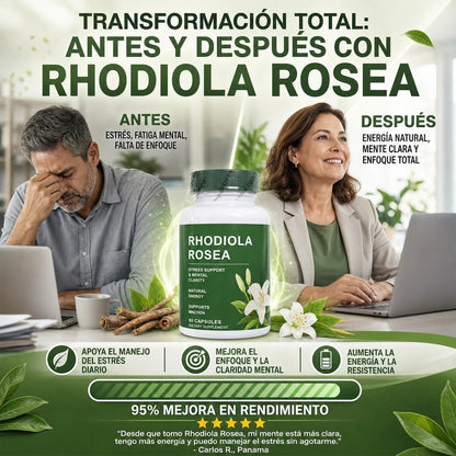 Rhodiola Rosea - Activa tu enfoque