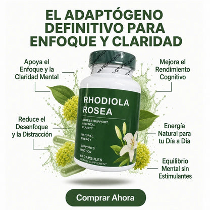 Rhodiola Rosea - Activa tu enfoque